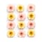 12 Packs: 12 ct. (144 total) Gerbera Daisy Stickers by Recollections™